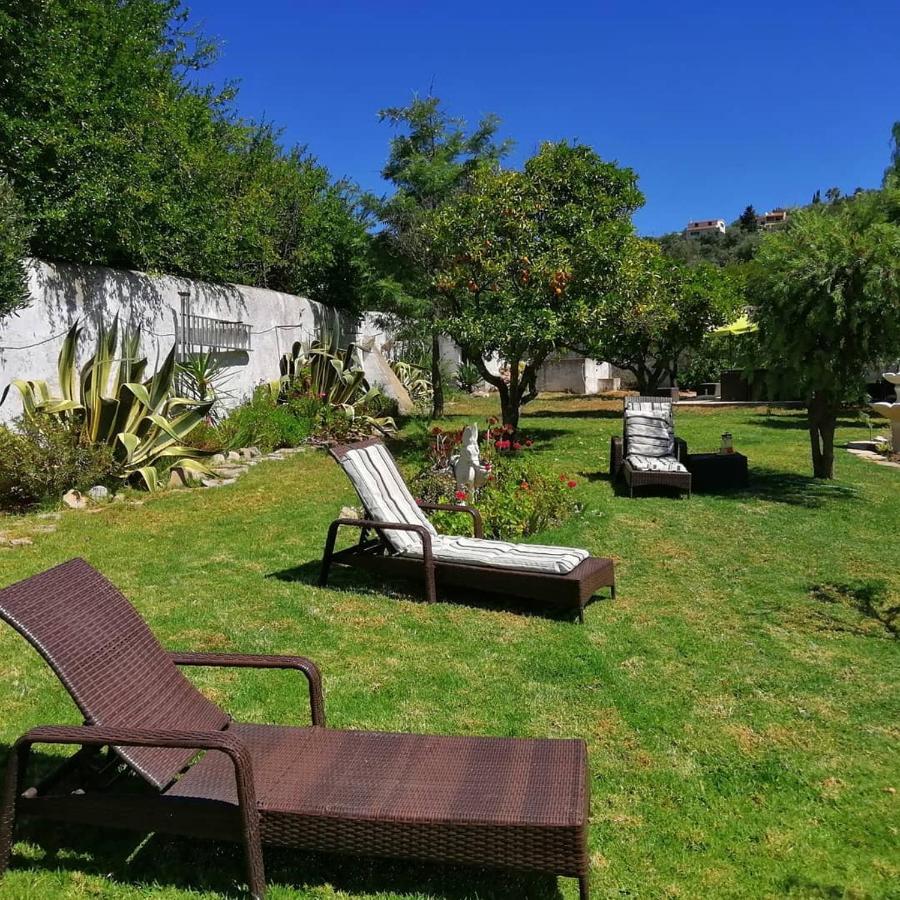 Casa Mimosa Bed and Breakfast São Brás de Alportel Εξωτερικό φωτογραφία