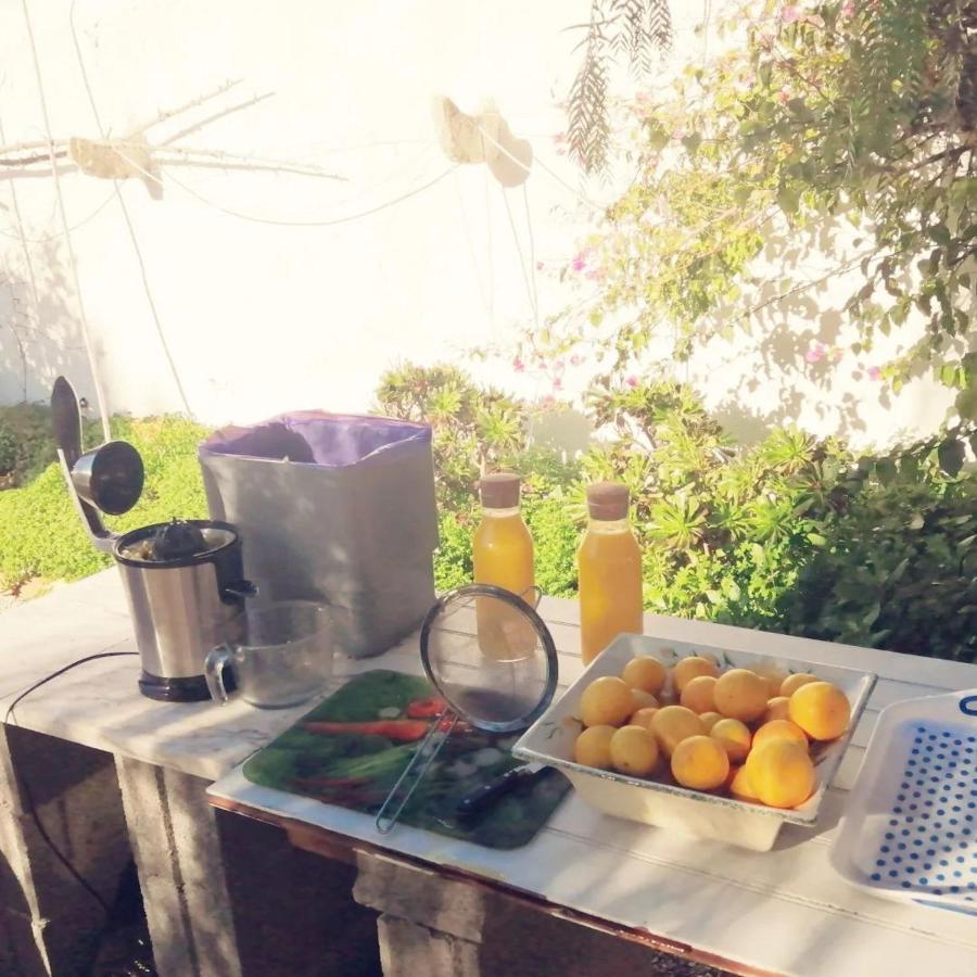 Casa Mimosa Bed and Breakfast São Brás de Alportel Εξωτερικό φωτογραφία