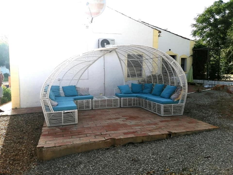 Casa Mimosa Bed and Breakfast São Brás de Alportel Εξωτερικό φωτογραφία