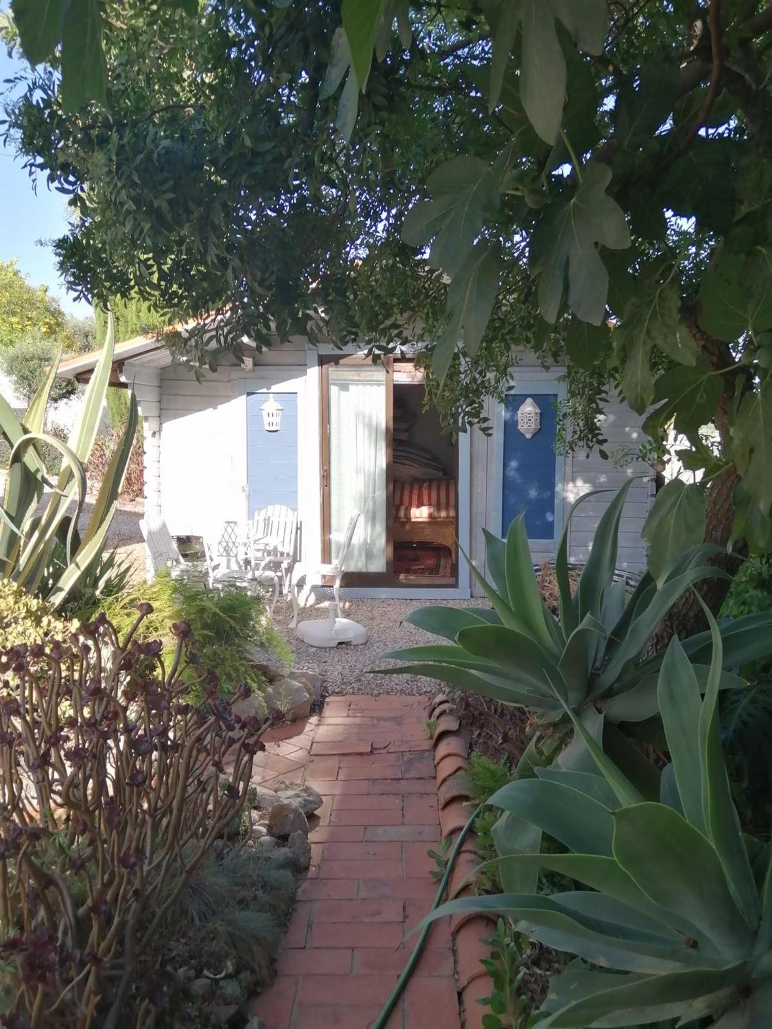 Casa Mimosa Bed and Breakfast São Brás de Alportel Εξωτερικό φωτογραφία